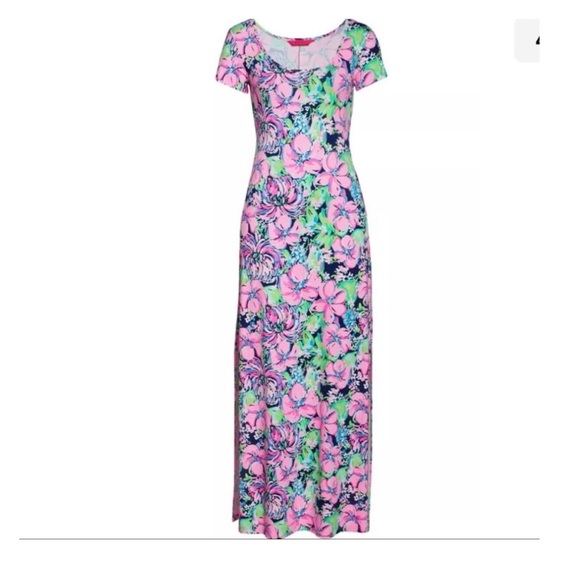 Lilly Pulitzer Wynne Maxi Dress Small - Picture 14 of 16
